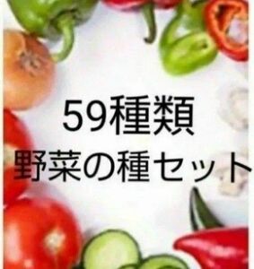 59種類 野菜 種