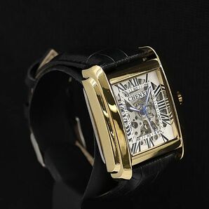 1円 稼働 良品 CHENXI AT スケルトン文字盤 メンズ腕時計 TCY7231000 3GTYの画像2