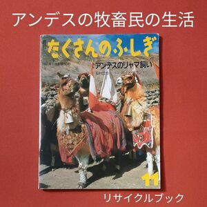 リサイクル図書　月刊 たくさんのふしぎ　アンデスのリャマ飼い　 牧畜民の生活　ペルー　福音館書店