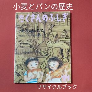 リサイクル図書　月刊 たくさんのふしぎ 小麦・ふくらんでパン　小麦とパンの歴史　 福音館書店