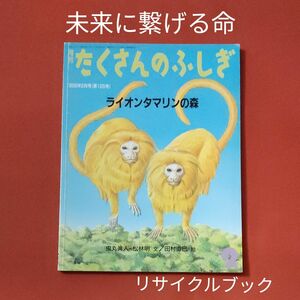 リサイクル図書　月刊 たくさんのふしぎ 　ライオンタマリンの森　 福音館書店