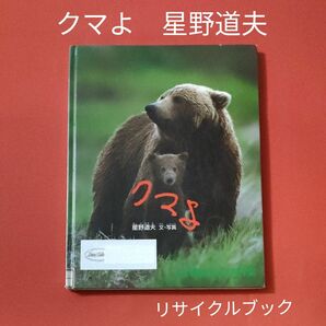 リサイクル図書　月刊 たくさんのふしぎ 　クマよ　星野道夫　 福音館書店