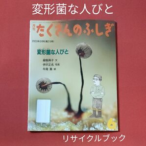 リサイクル図書　月刊 たくさんのふしぎ 　変形菌な人びと　 福音館書店