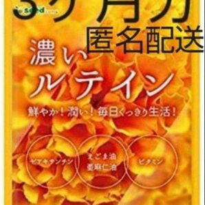 人気！濃いルテイン 3ヶ月分 えごま油 亜麻仁油 オメガ3系 マルチビタミン 