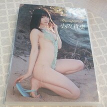 小阪貴恵/Transparent DVD 着エロ グラビアアイドル ミニスカ 開脚 パンチラ エロポーズ ハイレグ エロビキニ エロバニーガール 1円〜_画像1