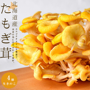 Tamogi Mushrooms 4 упаковки [около 100 г за пакет] Hokkaido Mushroom [Tamogitake] деменция Dementia Kazu Laser (бесплатная доставка]