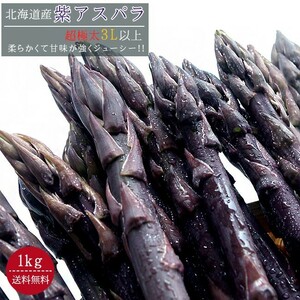 紫アスパラガス超極太 (3L以上 1kg) 北海道産 送料無料※只今発送中