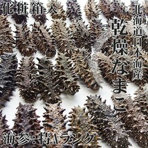 乾燥ナマコ 特A級品 1kg 化粧箱入り(特Aランク) 北海道産乾燥なまこ (中華高級食材)干し海鼠 送料無料 海参皇 干しなまこ_画像3