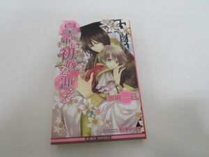 皇帝は初嫁を迎える (ビーボーイノベルズ) (B-BOY NOVELS)a0604 E-1