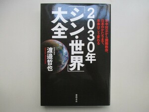 2030年「シン・世界」大全 米中対立から国際秩序、日本のかたちまで、未来はこう変わる a0604 E-3