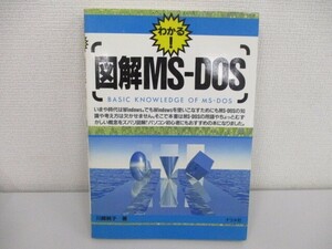 図解MS-DOS a0604 E-8