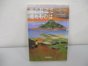 雨の浜辺で見たものは (創元推理文庫) a0604 E-13