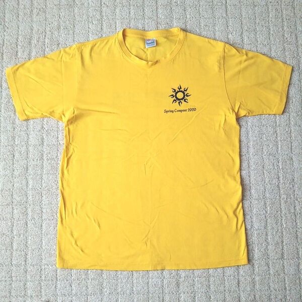 THE AMAZING RACE D.Sandhu 半袖 Tシャツ ビッグロゴ 両面プリント 古着 実寸L