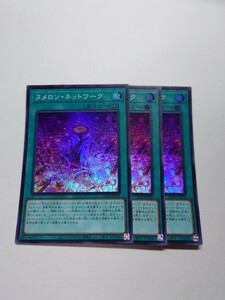 遊戯王　ヌメロンネットワーク　スーパー　3枚