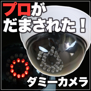 【送料無料】 防犯カメラ グッズ ダミーカメラで防犯対策