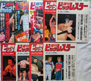 週刊ビッグレスラーNo.50.51.52.53.55.56.57.58.59計9冊1985年に発行されたものです。