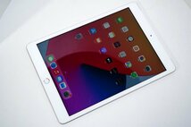 1円 iPad 第8世代 128GB Wi-Fi＋Cellular MYMM2J/A シルバー SIMフリー 中古美品 作動OK 迅速対応_画像1