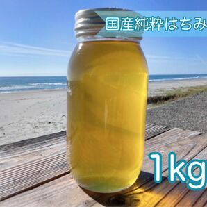 2023年 国産天然 百花蜜 非加熱 初夏の里山蜂蜜 1kg