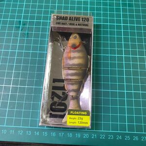 ○ｉｚｕｍｉ○ＳＨＡＤ ＡＬＩＶＥ １２０ＦＬ ＃ＣＨ Ｋｏｎｉｎ Ｇｉｌｌ