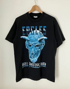 【希少】90s EAGLES HELL FREEZES OVER Tシャツ L 1995 ヴィンテージ バンド イーグルス SOF TEE GIANT USA製 オリジナル ロック NIRVANA 