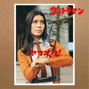 ウルトラマン★フジ・アキコ隊員★桜井浩子 ★宣材写真【非売品】