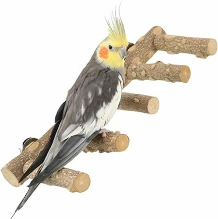 鳥の5連とまり木 天然木 鳥スタンド 階段 鳥用品 パーチ ストレス解消