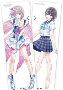 【等身大リバーシブル布ポスター】白井日菜子　BLUE REFLECTION（ブルーリフレクション）幻に舞う少女の剣　岸田メル