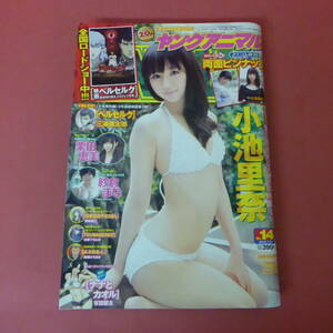 YN5-240409☆ヤングアニマル　NO.14 　2012.7.27　小池里奈　袋とじ未開封