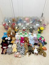 KT0415 Ty Beanie babies collection ビーニーズシリーズ、dead bean bear など くま ベア 他動物 人形 ぬいぐるみ 大量まとめて49体セット_画像1