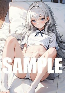 【一点物 アートイラスト】ai 美女 美少女 ポスター 2次元 アニメ 高画質 同人 漫画 ファンタジー 美尻 銀髪 写真光沢紙 A4サイズ 00280