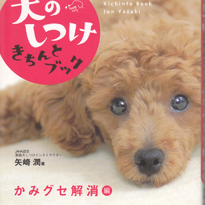 R138【送料込み】《愛犬家の本》矢崎潤 著「犬のしつけキチンとブック ～かみグセ解消編～」高橋書店刊 (図書館のリサイクル本)