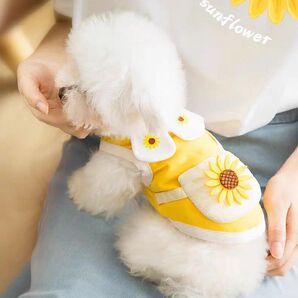 犬服　春夏服　ポケット付きのワンピ