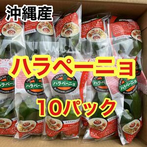 沖縄産　ハラペーニョ10パックセット　送料無料