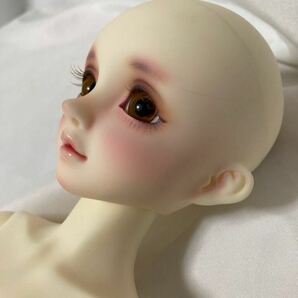 天使の里 フルチョイス SDM-F-51 握り手 白肌 里限定 ドール スーパードルフィー VOLKS ボークスの画像2