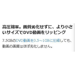 WonderFox DVD Ripper Pro ダウンロード版 正式版 日本語 永久ライセンス DVDをMP4やAVI、MP3に高速変換！サポート保障有、の画像5