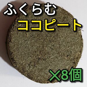 ココピート(膨張後約1L)　8個