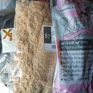 昆虫マット　ＸＬマット　クワガタ用　産卵一番 ぼうダニ＆しょうしゅうマット