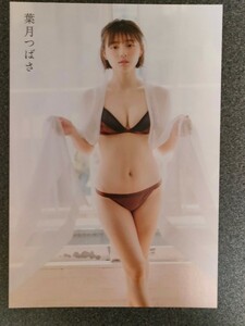 ポストカード　葉月つばさ　　　旬撮GIRL vol.18