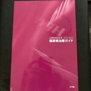 糖尿病治療ガイド　２０２２－２０２３ 日本糖尿病学会／編・著