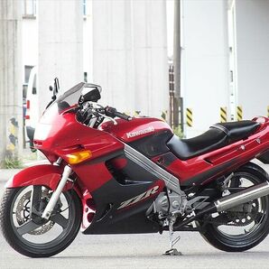 限定1台●EX250H●ZZR250●水冷DOHC4サイクル&ツインマフラー&メッシュホース&USB&DC電源&フルパワー●オイル交換●ツアラースポーツの画像4