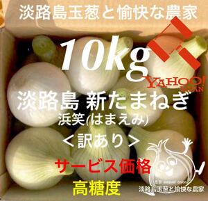 ＜訳あり＞淡路島産新玉ねぎ10kg 高糖度 新玉葱 新たまねぎ 新タマネギ