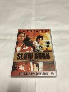 SLOW BURN~ легенда. бриллиант ~( внутренний стандартный товар cell версия ) DVD б/у 