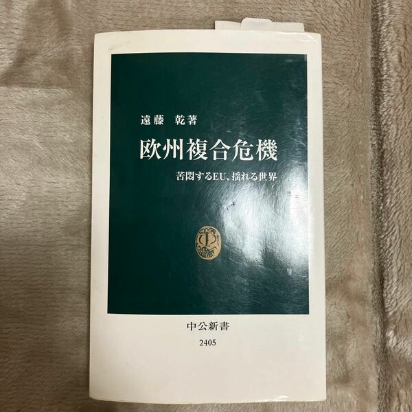 欧州複合危機　苦悶するＥＵ、揺れる世界 （中公新書　２４０５） 遠藤乾／著