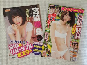 ヤングアニマル 2015年17号 宮脇咲良 サクラ ( HKT48 AKB48 ルセラフィム ) ＆ 渕上舞 山本茉央 ポスター ( 新品未開封 ) 付き