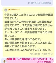 《品質トップクラス》スーパーホワイトメンフクロウ・食用有精卵 １個_画像3