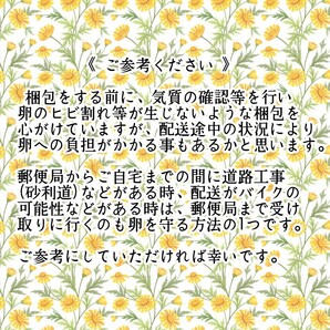 メンフクロウの卵 食用 有精卵《2個》の画像5