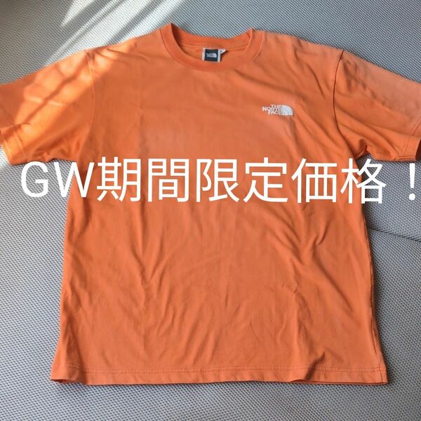 THE NORTH FACE 半袖TシャツメンズM