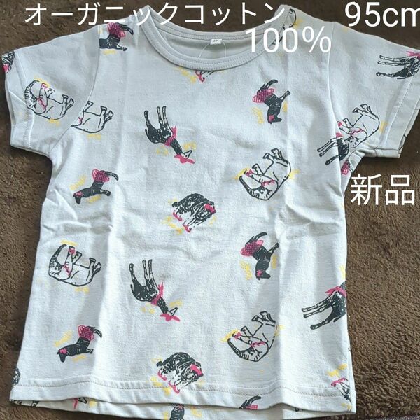 Tシャツ 半袖　オーガニック　コットン　100％　95