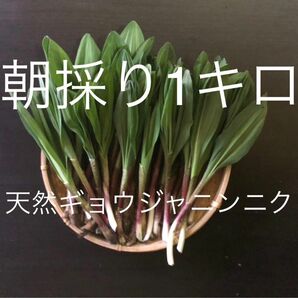 行者にんにく