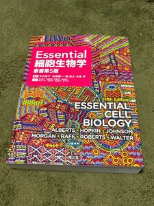 essential 細胞生物学　原書第5版